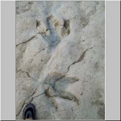 100_0456 (2009-26-07)m.JPG